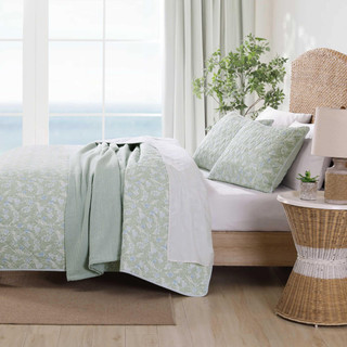 Thumbnail 5: Green/Blue