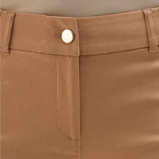 Thumbnail 3: BROWN