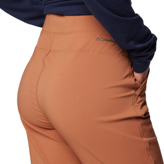 Thumbnail 5: BROWN