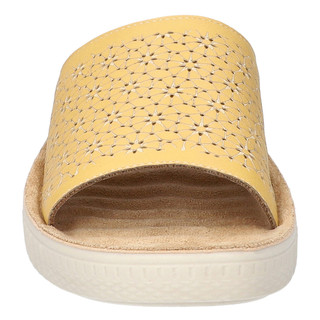 Thumbnail 5: YELLOW