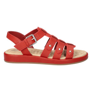 Thumbnail 2: RED