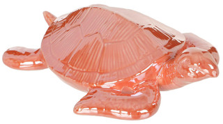 Thumbnail 1: CORAL
