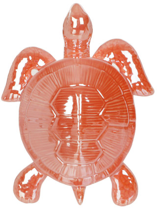 Thumbnail 2: CORAL