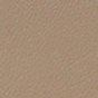 Thumbnail 9: TAUPE