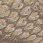 Thumbnail 9: TAUPE SNAKE
