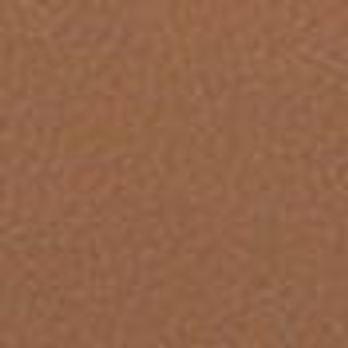 Thumbnail 9: TAN