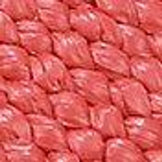 Thumbnail 9: CORAL