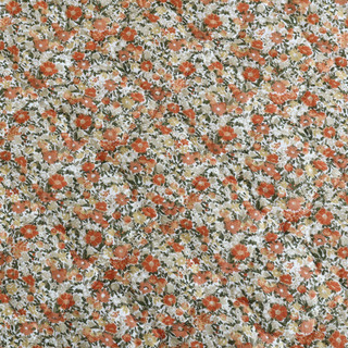 Thumbnail 18: Terracotta