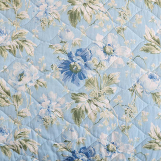 Thumbnail 12: Light Blue