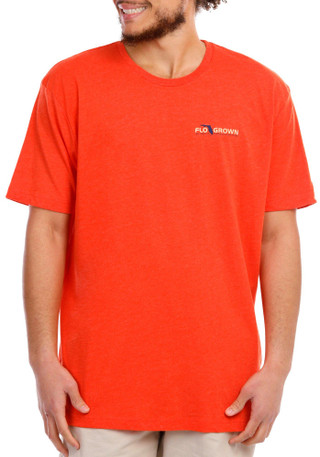 Thumbnail 2: ORANGE