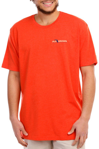 Thumbnail 3: ORANGE