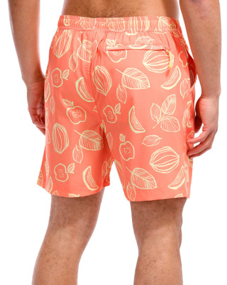 Thumbnail 3: Flamingo