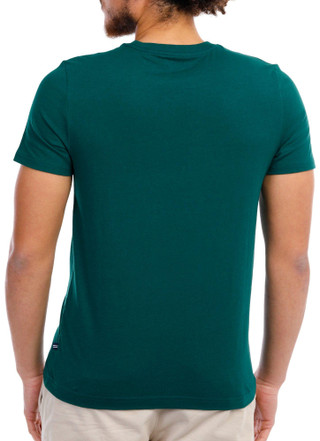 Thumbnail 2: Green