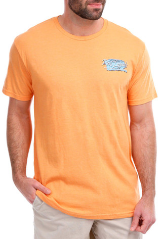 Thumbnail 4: ORANGE
