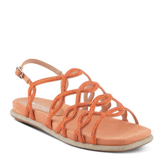 Thumbnail 1: ORANGE