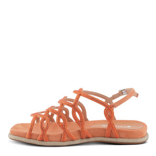 Thumbnail 2: ORANGE