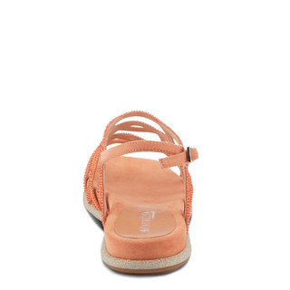 Thumbnail 4: ORANGE