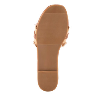 Thumbnail 6: CAMEL