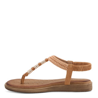 Thumbnail 2: TAN