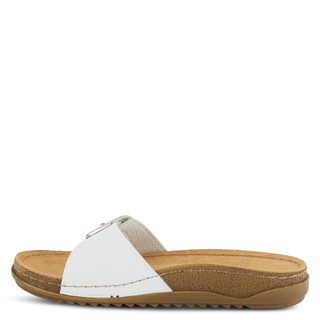 Thumbnail 2: WHITE