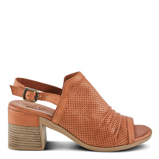 Thumbnail 5: CAMEL