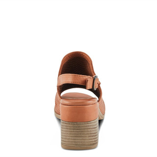 Thumbnail 4: CAMEL