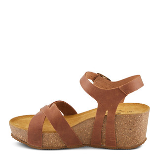 Thumbnail 2: BROWN