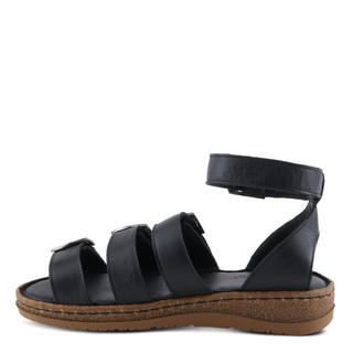 Thumbnail 2: BLACK