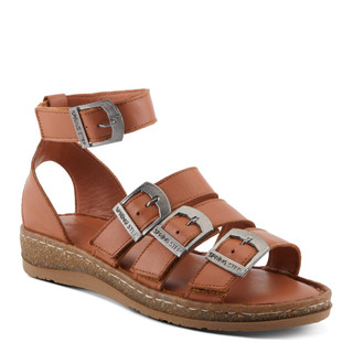 Thumbnail 1: CAMEL