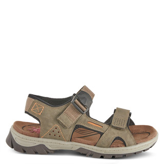 Thumbnail 5: BROWN