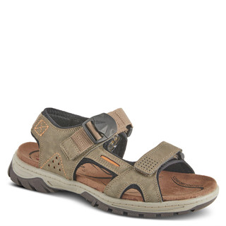 Thumbnail 1: BROWN