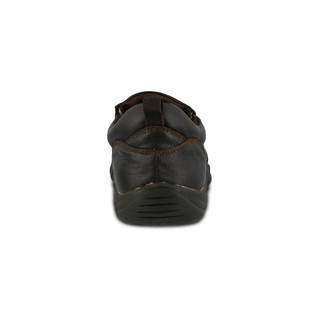 Thumbnail 4: BROWN