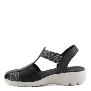 Thumbnail 2: BLACK