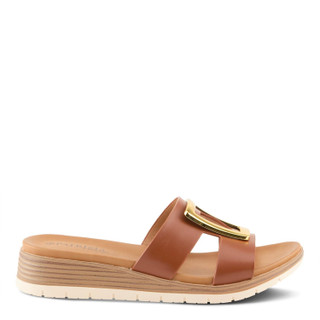 Thumbnail 5: BROWN