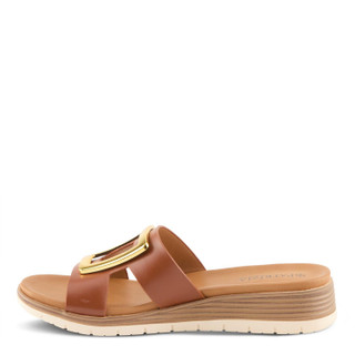 Thumbnail 2: BROWN