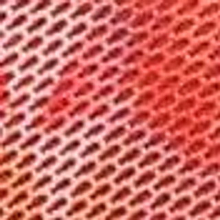 Thumbnail 9: CORAL