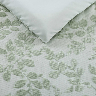Thumbnail 19: Sage Green