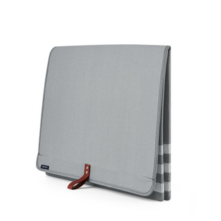 Thumbnail 3: Grey Stripe