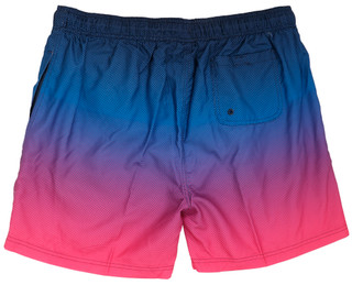 Thumbnail 2: Burnside Burnside Mens Print Volley Shorts 