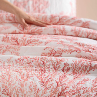 Thumbnail 13: Rose Coral