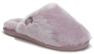 Thumbnail 1: FROSTED PLUM