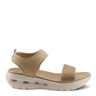 Thumbnail 5: TAUPE