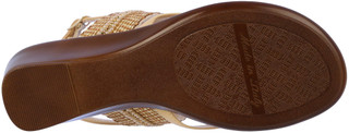 Thumbnail 3: Camel