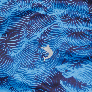 Thumbnail 3: BLUE