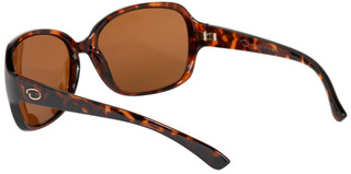 Thumbnail 2: Brown