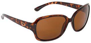 Thumbnail 1: Brown