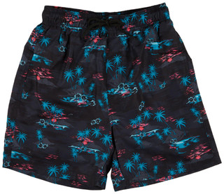 Thumbnail 1: Black Palm tree