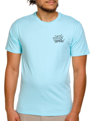 Thumbnail 2: Aqua