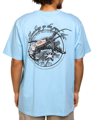 Thumbnail 1: Light Blue