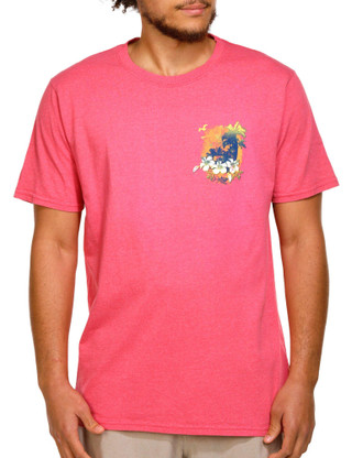 Thumbnail 2: Sun Kissed Coral